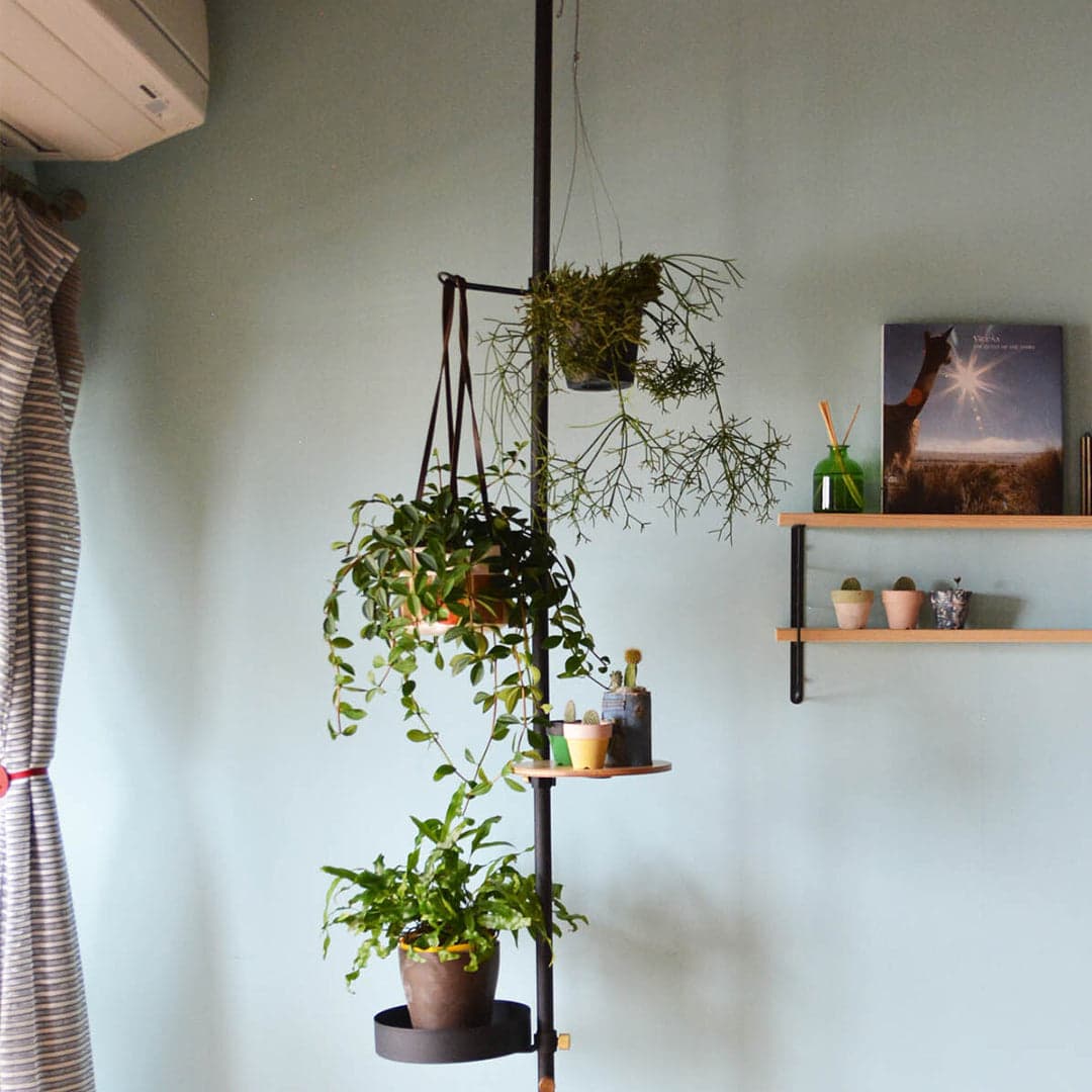 Make the "Tension Rod" the Star of Your Interior. The Most Minimal Spatial Expansion, Drawn by "DRAW A LINE"