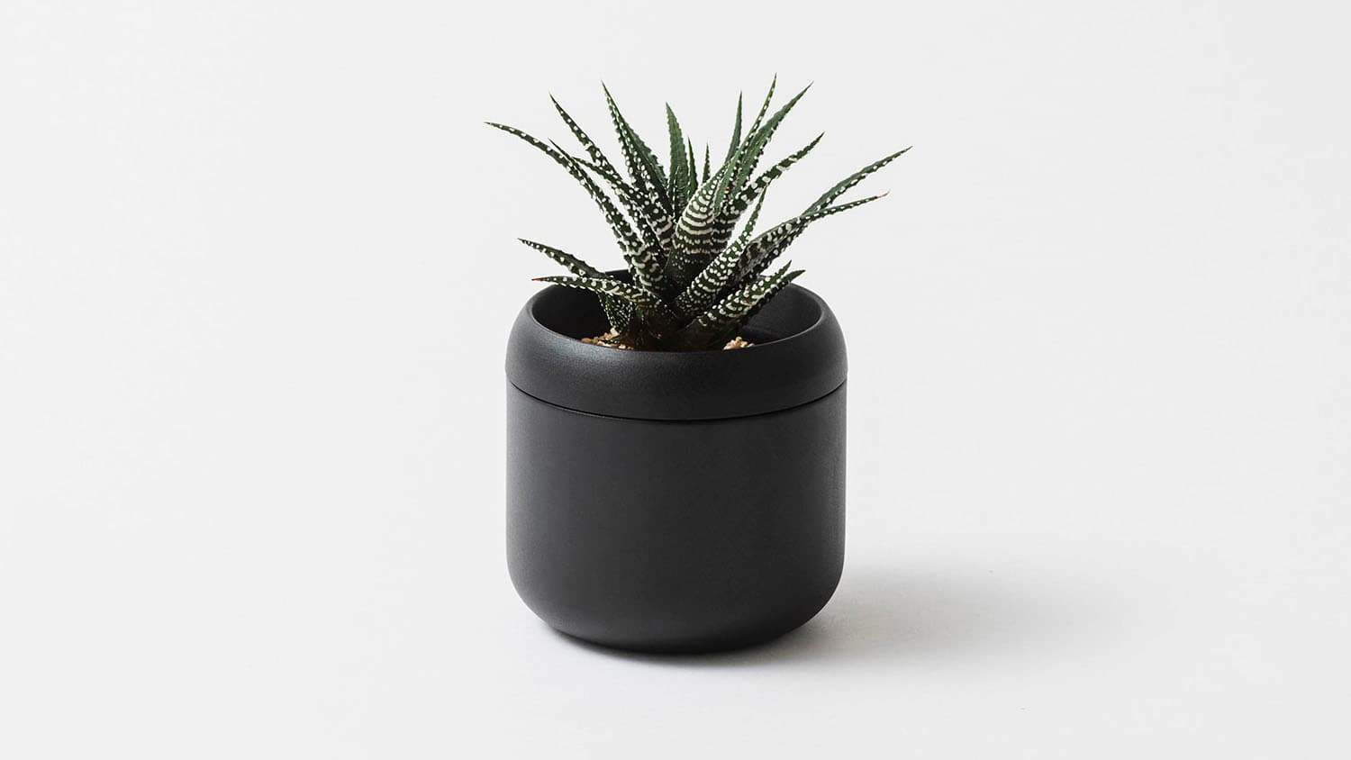 The Day the Saucer Disappeared from the Flowerpot. "PLANT POT HACHI" Is a Precision Capsule Built for Plants.