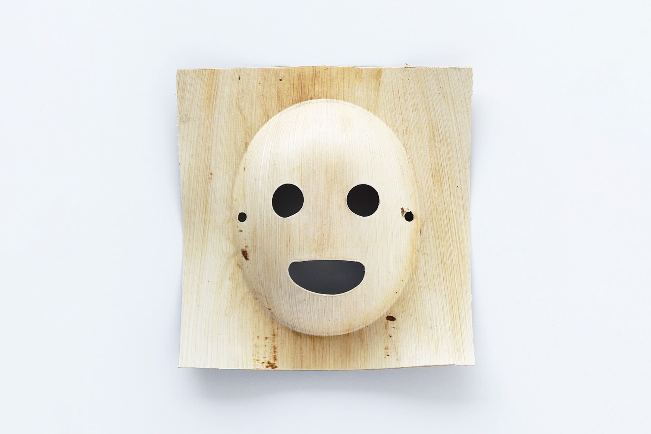 A "Transformation" with Higher Resolution Than the Metaverse: "WILDMASK," Born from Palm Trees