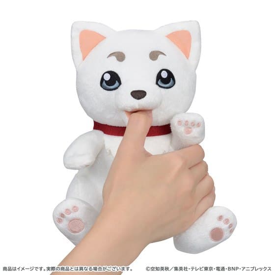 Fluffy Moments in the Palm of Your Hand — The Gentle-Nibbling Hamuhamu